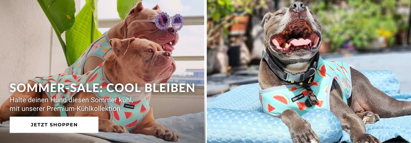 Style für Hund und Halter